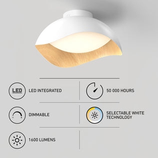 Adara 15 in. (38 cm) Modern LED Flush Mount Ceiling Light 5 CCT with a white dome, wood-grain interior, and icons for settings.