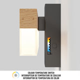 A modern wall-mounted light fixture with a wood and frosted glass design, featuring a color temperature switch and a labeled adjustable dial with a color gradient from warm to cool tones.